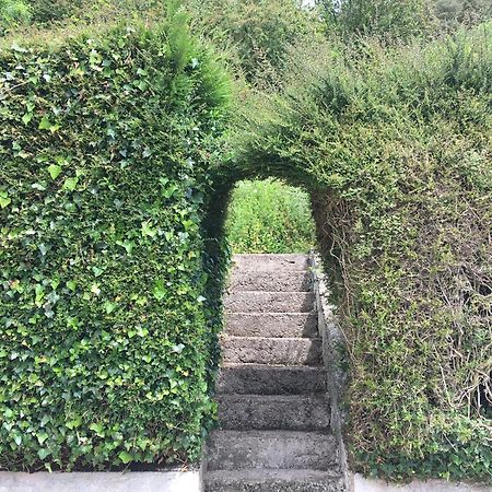 Cottage At Youghal Bridge Dloughtane 外观 照片